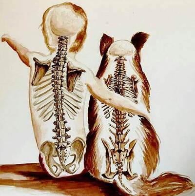 Link to: /services/animal-chiropractic